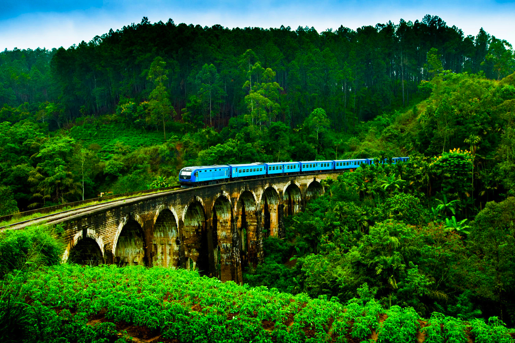 Nilgiri, Mountain Railway (Tamil Nadu)