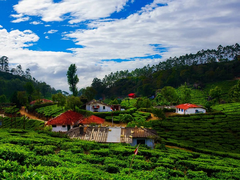 munnar-tourism-sightseeing.jpg